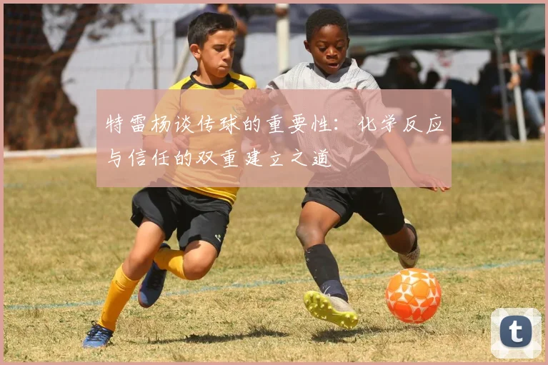 特雷杨谈传球的重要性：化学反应与信任的双重建立之道